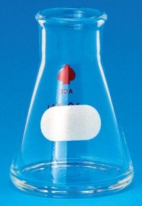 Ace Erlenmeyer flask Z158070-1EA