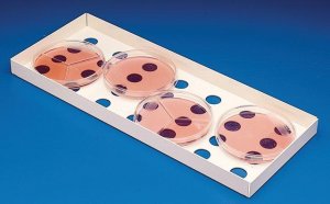 Bel-Art Petri Dish Incubation Tray BAF189830000-1EA