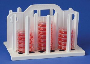 Bel-Art Petri Dish Rack BAF189910060-1EA
