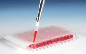 Breathe Easier sealing membrane for multiwell plates Z763624-100EA