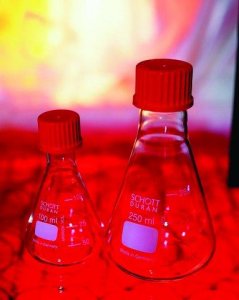 Duran Erlenmeyer flasks with screw cap 