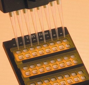 FAST frame slide holders Z721204-1EA