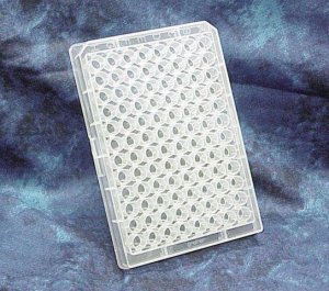 Greiner 96 well plates, polypropylene M8060-100EA