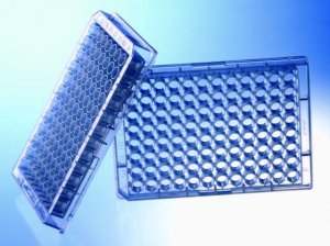 Greiner 96 well plates, polystyrene 