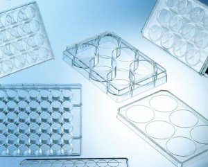Greiner CELLSTAR multiwell culture plates 