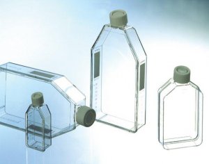 Greiner culture flasks, suspension culture treated 