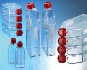 Greiner culture flasks, tissue culture treated 