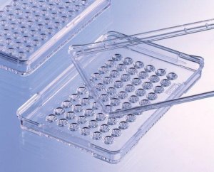 Greiner HLA Terasaki multiwell plates 