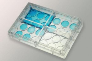 IdMOC collagen plate 