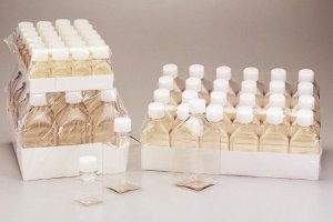 Nalgene media bottles, style 2020 