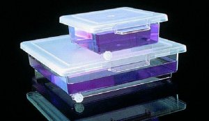 Nalgene staining box 