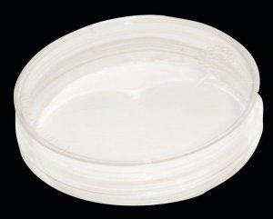 Nanofiber cell culture dish, with aligned nanofibers Z694584-1EA