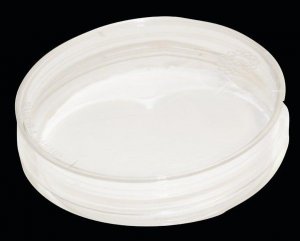 Nanofiber cell culture dish, with random oriented nanofibers Z694495-1EA