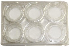 Nanofiber multiwell plate, Interactive MicroEnvironMent System (IMEMS) Z694630-1EA