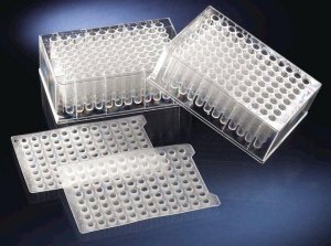 Nunc 96 DeepWell plate, non-treated P8241-50EA