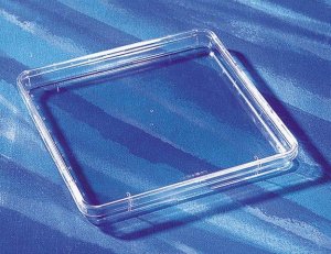 Nunc Bioassay Dish 