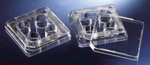 Nunc IVF multidish 