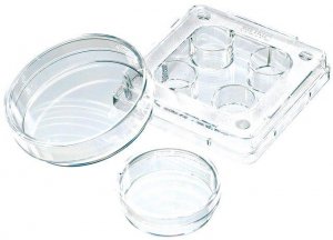 Nunc IVF multidish 