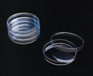 Petri dishes, polystyrene 
