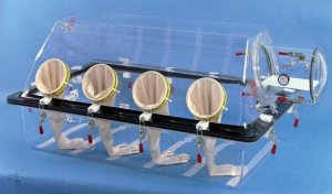 Plas-Labs basic multi-station glove box Z563056-1EA