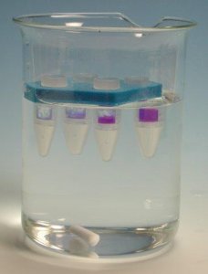 Pur-A-Lyzer Floating Racks for Dialysis PURXR-1EA