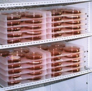 Scienceware petri dish incubation tray 