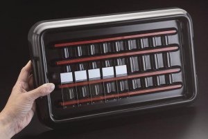 StainTray slide staining system Z670138-1EA