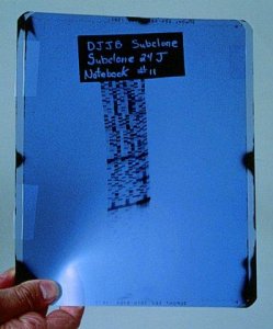 Labels, phosphorescent 