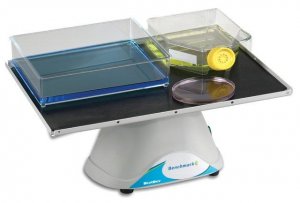 BlotBoy 3D platform rocker Z755567-1EA