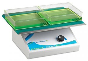 Everlast rocker with flat mat 