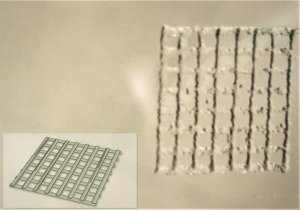 TissueFab - GelMA-UV bioink 
