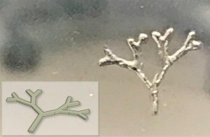 TissueFab- GelAlg-UV bioink 