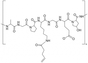 Allyl-modified gelatin 901553-1G