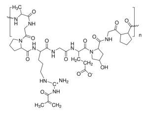 Gelatin methacryloyl 900622-1G
