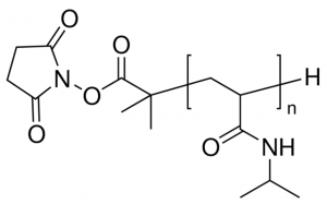 Poly(N-isopropyl acrylamide) 900188-1G