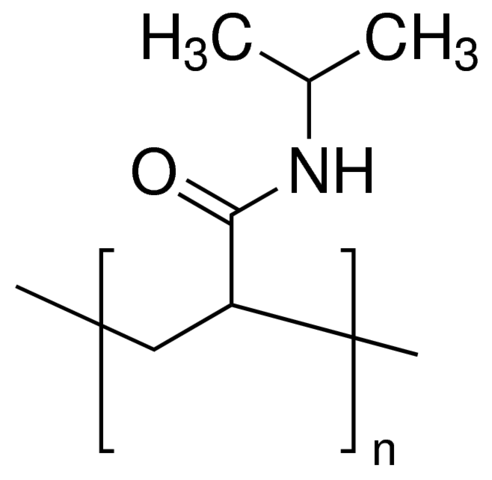 Poly(N-isopropylacrylamide) 901422-10G