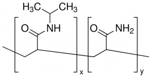 Poly(N-isopropylacrylamide-co-acrylamide) 738735-5G