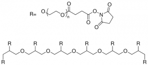 8arm-PEG10K-Succinimidyl Succinate JKA8019-1G