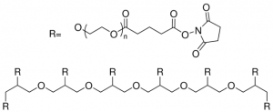 8arm-PEG15K-Succinimidyl Glutarate JKA8001-1G