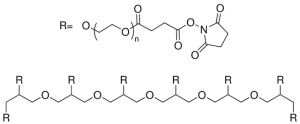 8arm-PEG15K-Succinimidyl Succinate JKA8010-1G