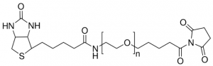 Poly(ethylene glycol) (N-hydroxysuccinimide 5-pentanoate) ether 2-(biotinylamino)ethane 757799-100MG