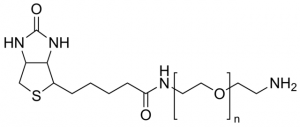 Poly(ethylene glycol) 2-aminoethyl ether biotin 757772-100MG