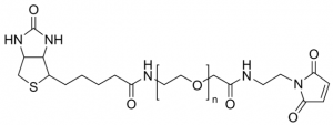 Poly(ethylene glycol) [N-(2-maleimidoethyl)carbamoyl]methyl ether 2-(biotinylamino)ethane 757748-100MG