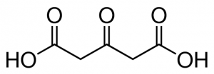 1,3-Acetonedicarboxylic acid 