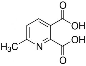 6-Methylpyridine-2,3-dicarboxylic acid 344184-5G