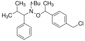 N-tert-Butyl-O-[1-[4-(chloromethyl)phenyl]ethyl]-N-(2-methyl-1-phenylpropyl)hydroxylamine 711268-250MG
