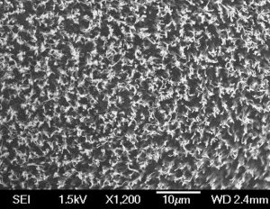 Carbon nanotube array, multi-walled 687804-1EA