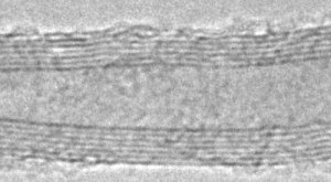 Carbon nanotube, multi-walled 698849-1G