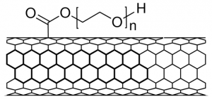 Carbon nanotube, single-walled, poly(ethylene glycol) functionalized 