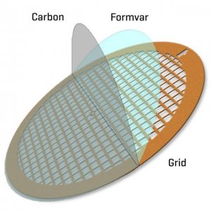 Ultrathin Formvar/Carbon Supported Copper Square Mesh TEM-FCF100CUUA